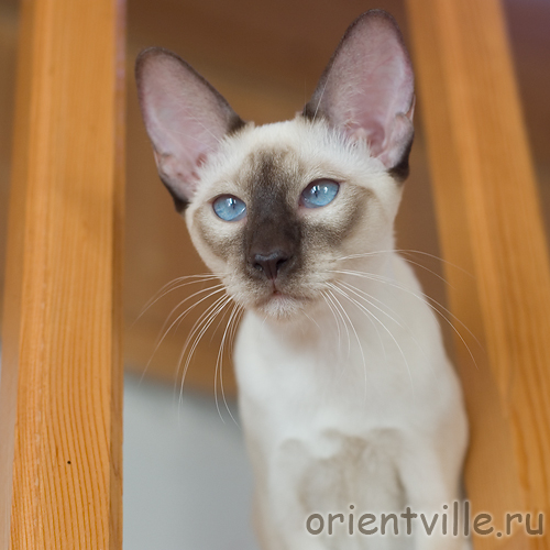 На фоне неба через стеклопакет