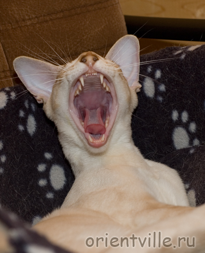 Ой, маааамааааа