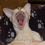 Ой, маааамааааа