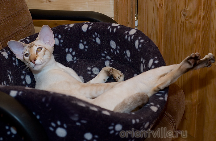 Всё. Не мешайте