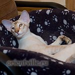 Всё. Не мешайте