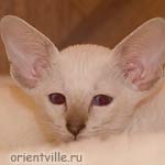 Orientville's Cap. Sao Feng