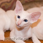 Orientville's Dolly Levi