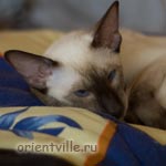 Тата, 1,5 года