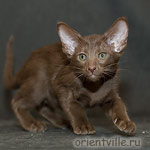 Orientville's Elizabeth Swann