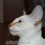 Orientville's Cap. Sao Feng