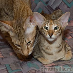 Orientville's Dylan Sanders