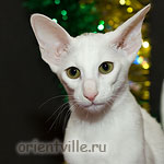 Orientville's Dana Scully