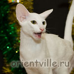 Orientville's Dana Scully