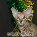 Orientville's Diva Plavalaguna