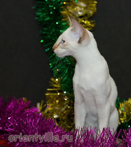 Orientville's Cap. Sao Feng