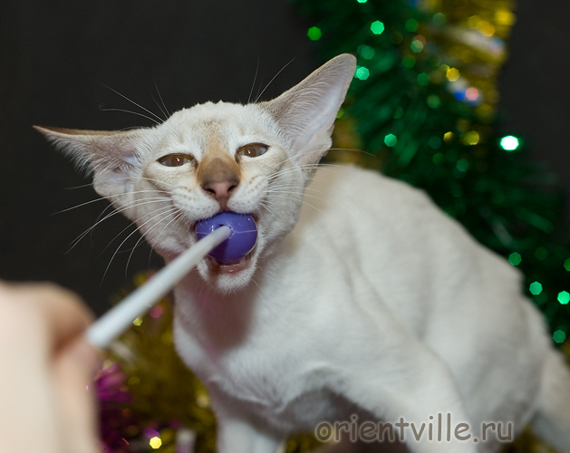 Orientville's Cap. Sao Feng