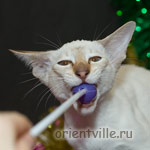 Orientville's Cap. Sao Feng