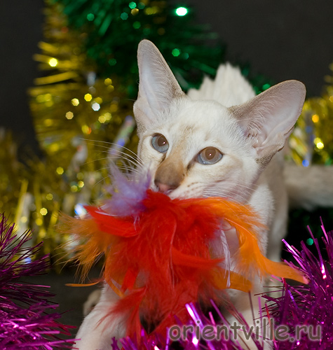 Orientville's Cap. Sao Feng