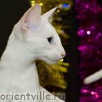 Orientville's Dolly Levi