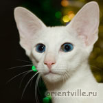 Orientville's Dolly Levi