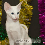 Orientville's Dolly Levi