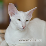 Orientville's Dana Scully