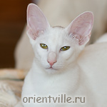 Orientville's Dana Scully