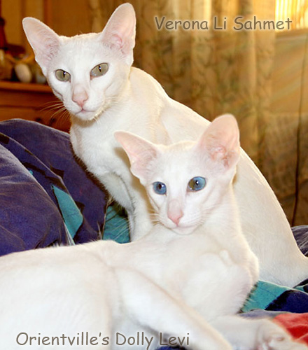 Долли и ее новая подружка Марта