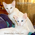 Долли и ее новая подружка Марта