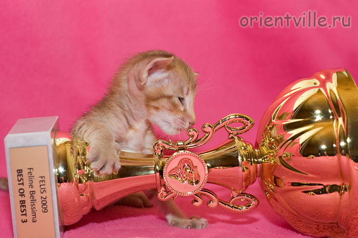 Фионе 1 месяц