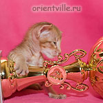 Фионе 1 месяц