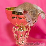 Фионе 1 месяц