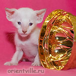 Orientville's Frodo Baggins