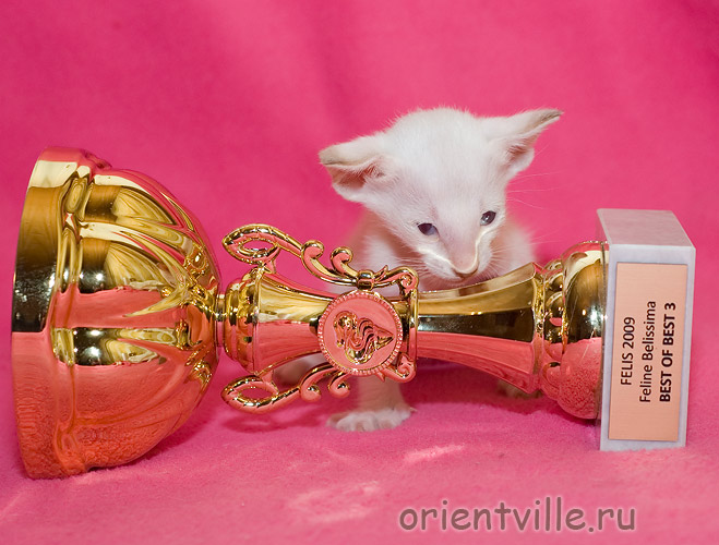 Фродо 1 месяц