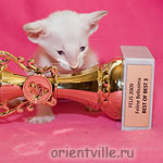 Фродо 1 месяц