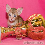 Orientville's Fleur de Lys