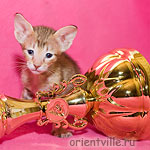 Orientville's Fleur de Lys