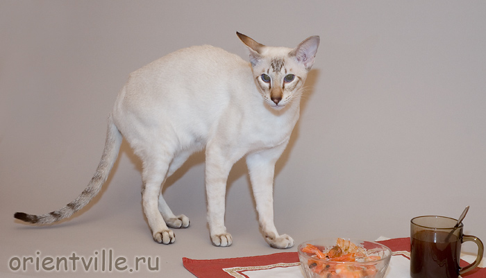 Боня: может на заметят...