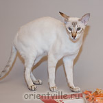 Боня: может на заметят...