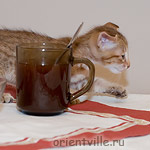 Orientville's Fiona Princess