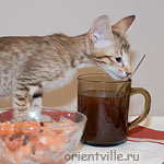 Orientville's Figaro