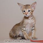 Orientville's Fleur de Lys