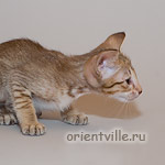 Orientville's Fleur de Lys