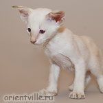 Orientville's Frodo Baggins