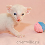 Orientville's Gandalf