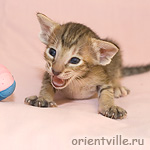 Orientville's Gabrielle