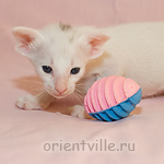 Orientville's Galateya