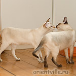 Боня с мамой Татой