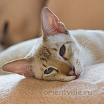 Боня разнежился на солнышке