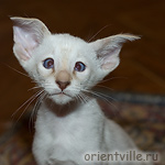 Orientville's Frodo Baggins