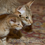 Orientville's Fiona Princess