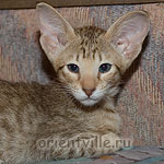 Orientville's Fleur de Lys