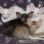 Гендальф, Галатея, Гюсто, Гвен, Габи