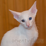 Гена. 2 месяца